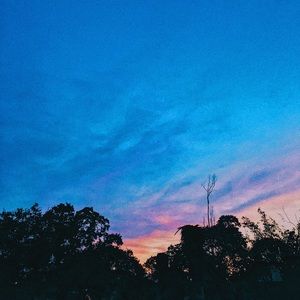 Meet your Posher, Kylie